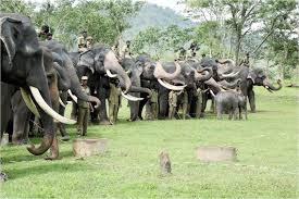 Ooty mudumalai taxi service