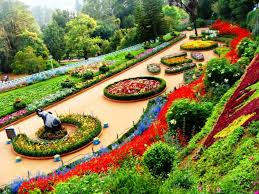 ooty botanical garden tour packages