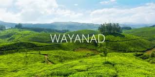 ooty wayanad tour packages